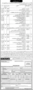 Latest Jobzuking Jobs in Public Sector Organization Balochistan October 2022 Jobs